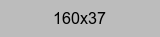 Partner placeholder